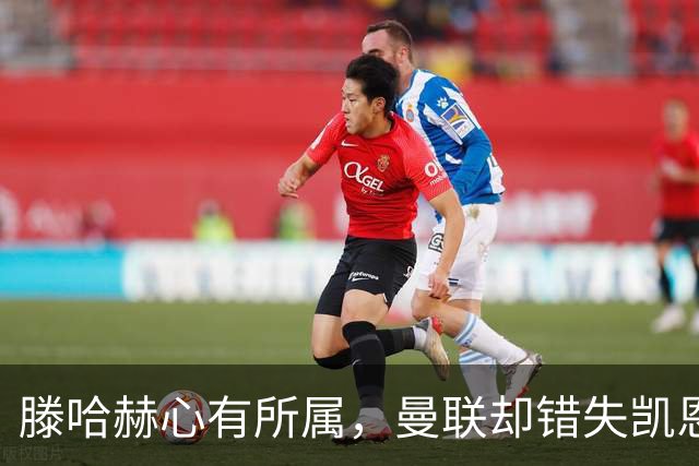滕哈赫心有所属，曼联却错失凯恩之良机